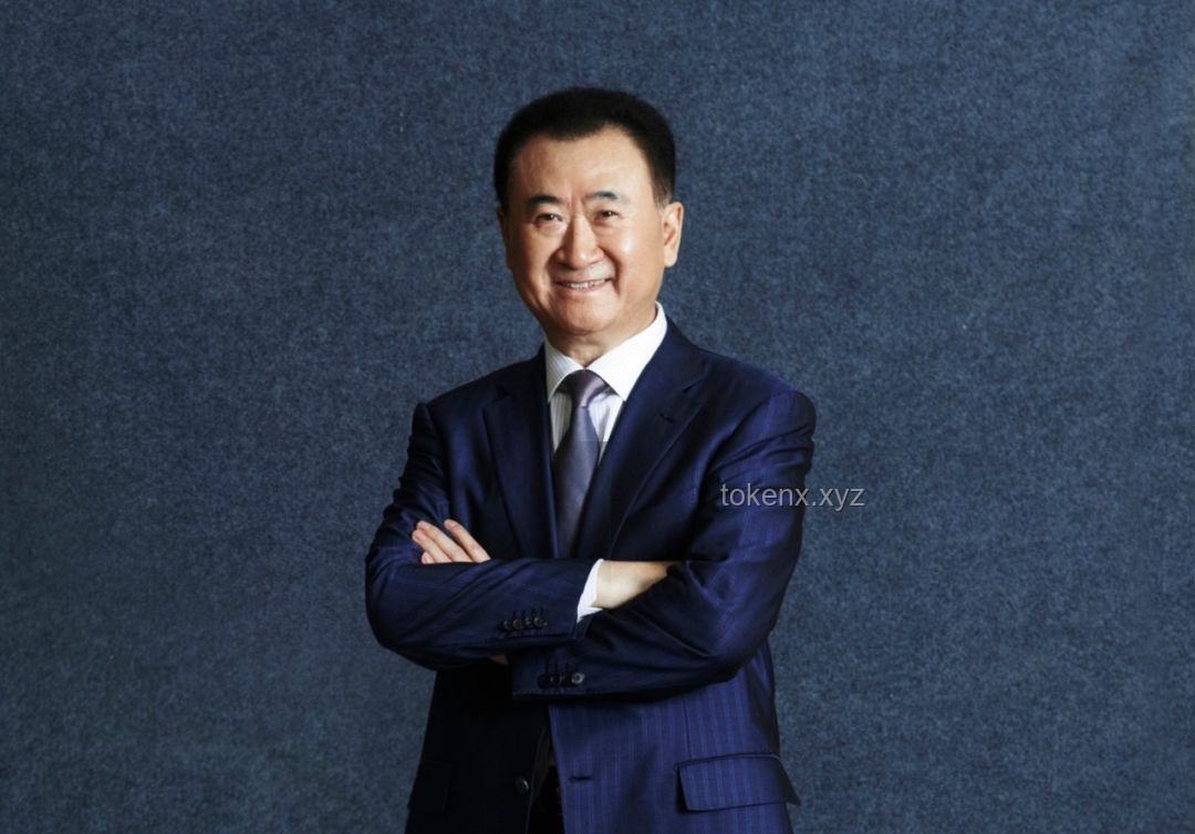 王健林4.9亿股权冻结：万达集团困境与挑战的深度剖析